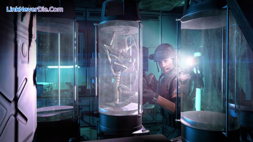 Hình ảnh trong game Aliens: Colonial Marines (screenshot)