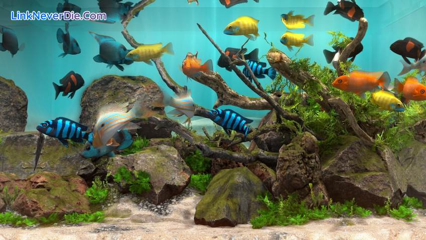 Hình ảnh trong game Behind Glass: Aquarium Simulator (screenshot)