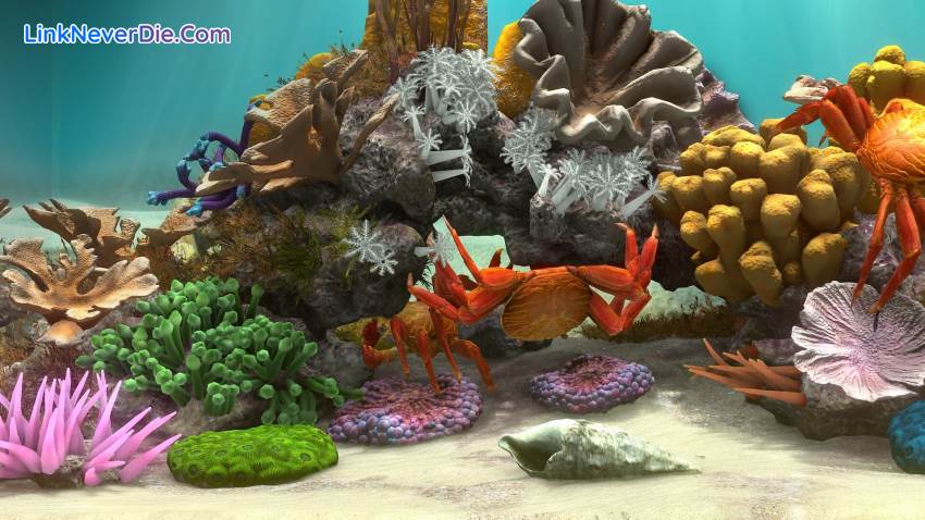 Hình ảnh trong game Behind Glass: Aquarium Simulator (screenshot)