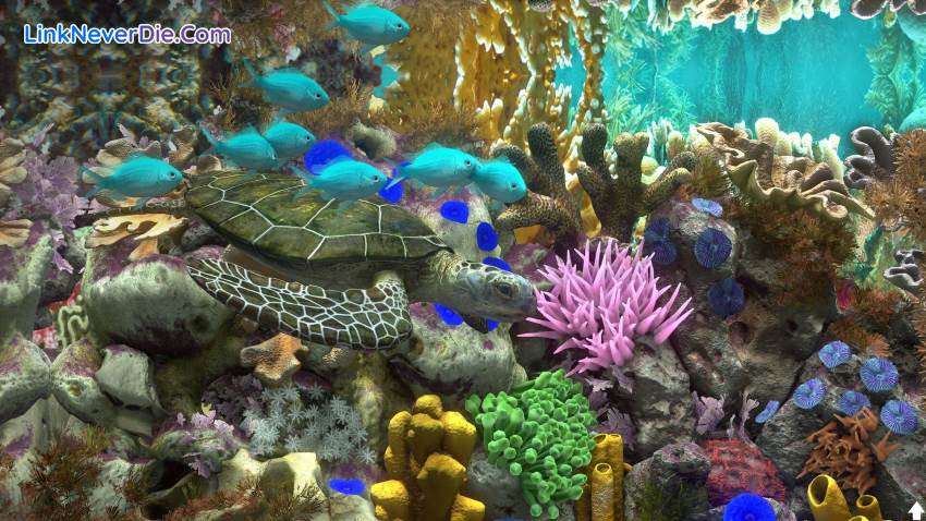 Hình ảnh trong game Behind Glass: Aquarium Simulator (screenshot)