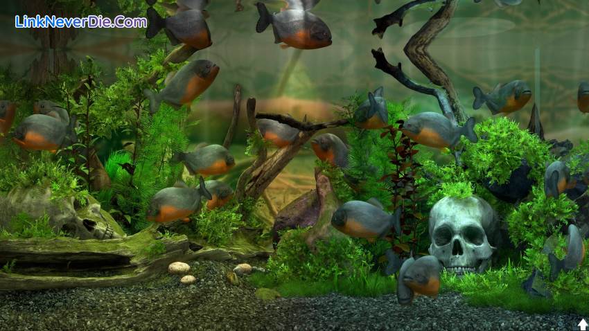 Hình ảnh trong game Behind Glass: Aquarium Simulator (screenshot)