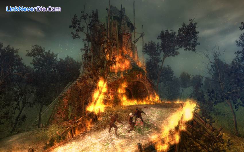 Hình ảnh trong game The Witcher: Enhanced Edition (screenshot)