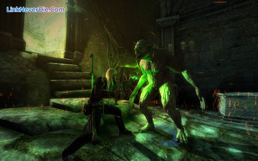 Hình ảnh trong game The Witcher: Enhanced Edition (screenshot)