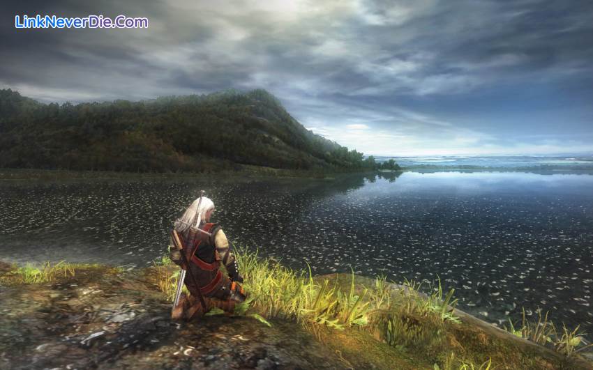 Hình ảnh trong game The Witcher: Enhanced Edition (screenshot)