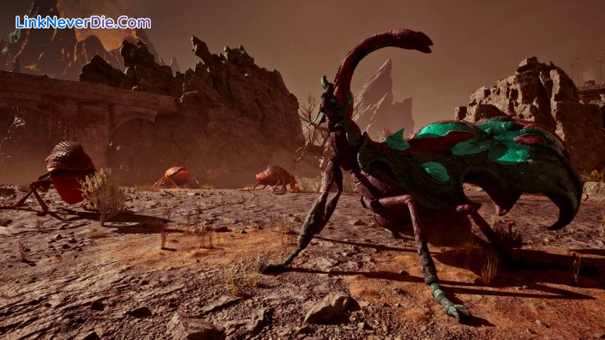 Hình ảnh trong game Avowed (screenshot) Hình ảnh trong game Avowed (screenshot)