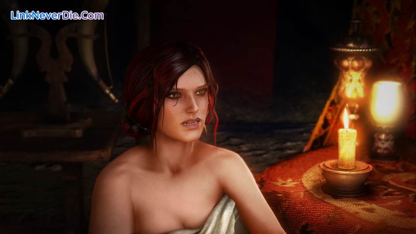 Hình ảnh trong game The Witcher 2: Assassins of Kings Enhanced Editon (screenshot)