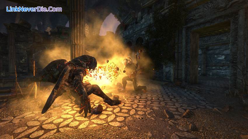 Hình ảnh trong game The Witcher 2: Assassins of Kings Enhanced Editon (screenshot)