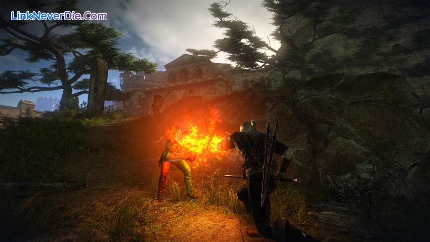 Hình ảnh trong game The Witcher 2: Assassins of Kings Enhanced Editon (screenshot)