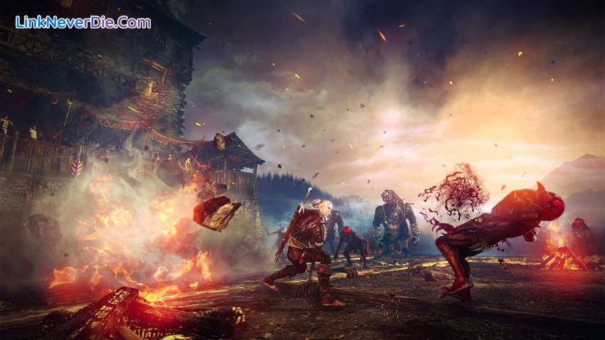 Hình ảnh trong game The Witcher 2: Assassins of Kings Enhanced Editon (screenshot)