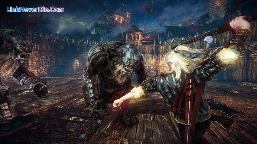 Hình ảnh trong game The Witcher 2: Assassins of Kings Enhanced Editon (screenshot)