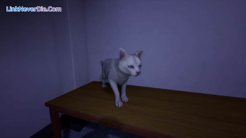 Hình ảnh trong game School 666 (screenshot) Hình ảnh trong game School 666 (screenshot)
