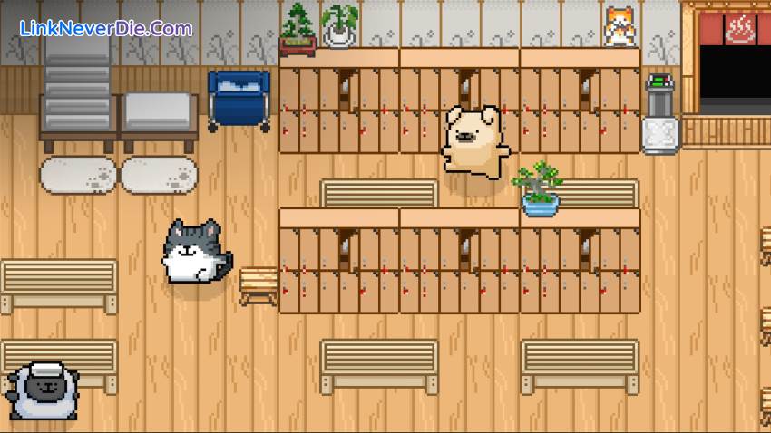 Hình ảnh trong game Maltese's Fluffy Onsen (screenshot) Hình ảnh trong game Maltese's Fluffy Onsen (screenshot)