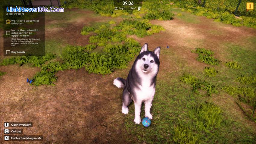 Hình ảnh trong game Animal Shelter 2 (screenshot)