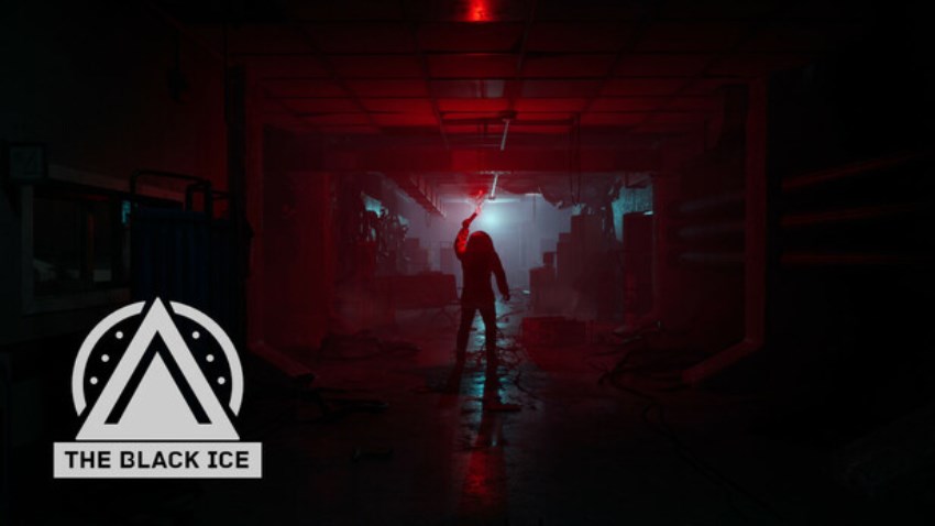 The Black Ice cover The Black Ice cover