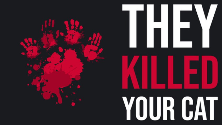 They Killed Your Cat cover