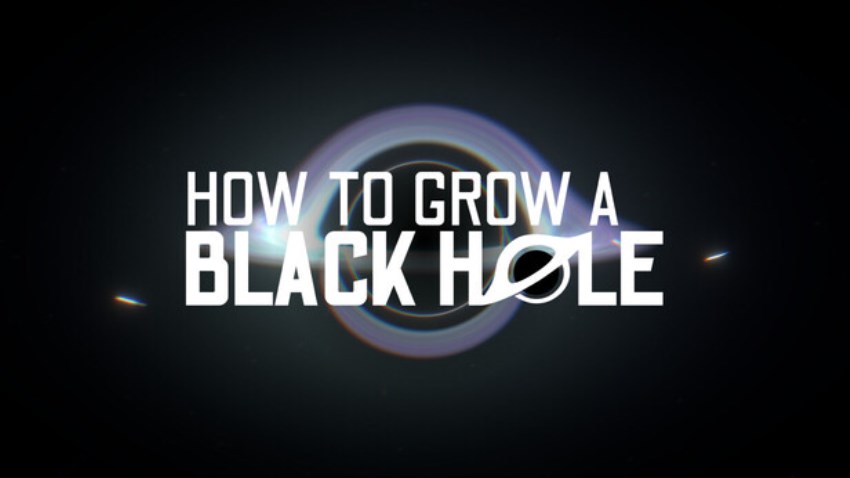 How To Grow a Black Hole cover