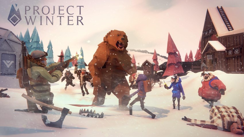 Project Winter cover