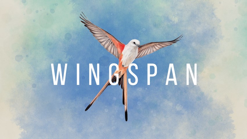 Wingspan cover