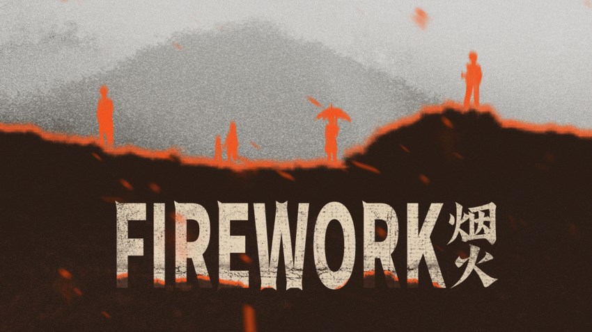 Firework cover