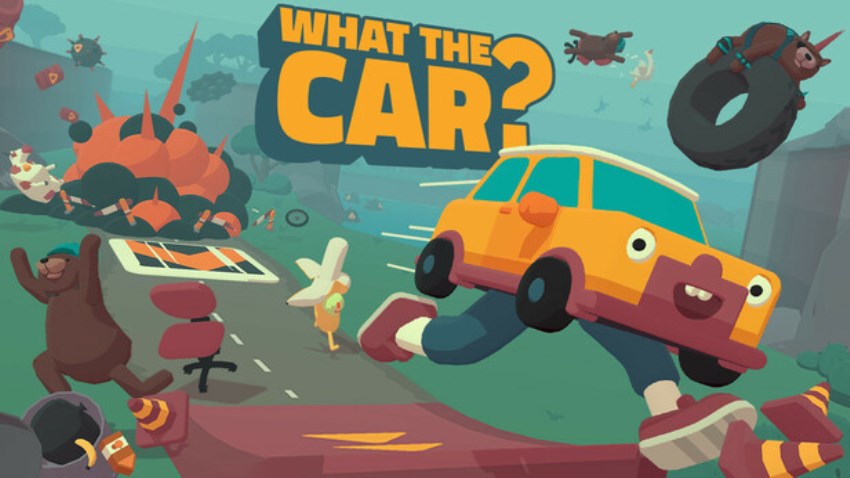 WHAT THE CAR? cover