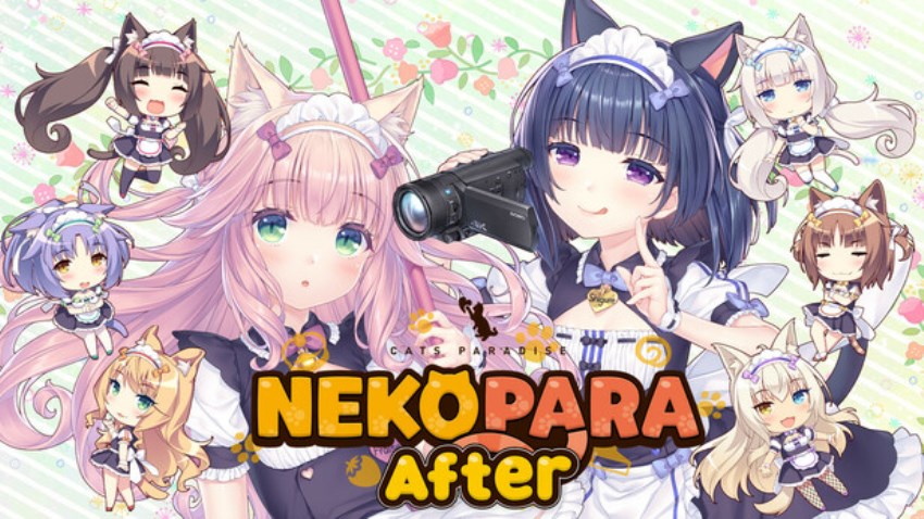 NEKOPARA After cover NEKOPARA After cover